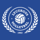 Lycurgus-Volleybal